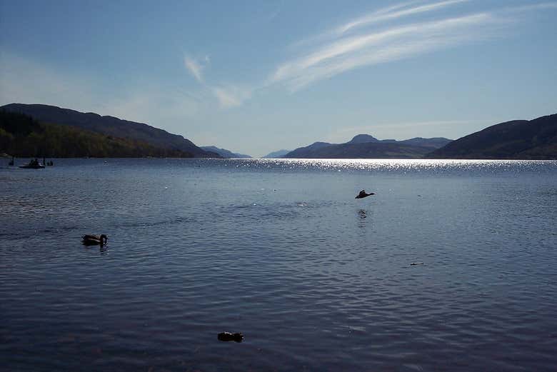 Contemplando el Lago Ness