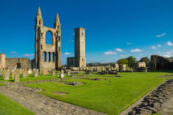 Tour por Saint Andrews, Falkland, acantilados y castillo Dunnottar