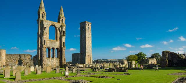 Tour por Saint Andrews, Falkland, acantilados y castillo Dunnottar