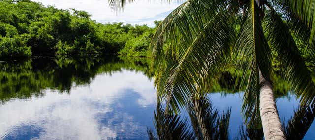 Excursão a East End