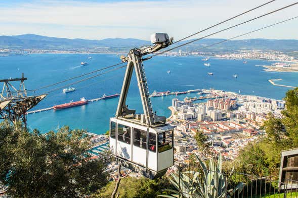 Billet pour le téléphérique de Gibraltar + Observation de dauphins