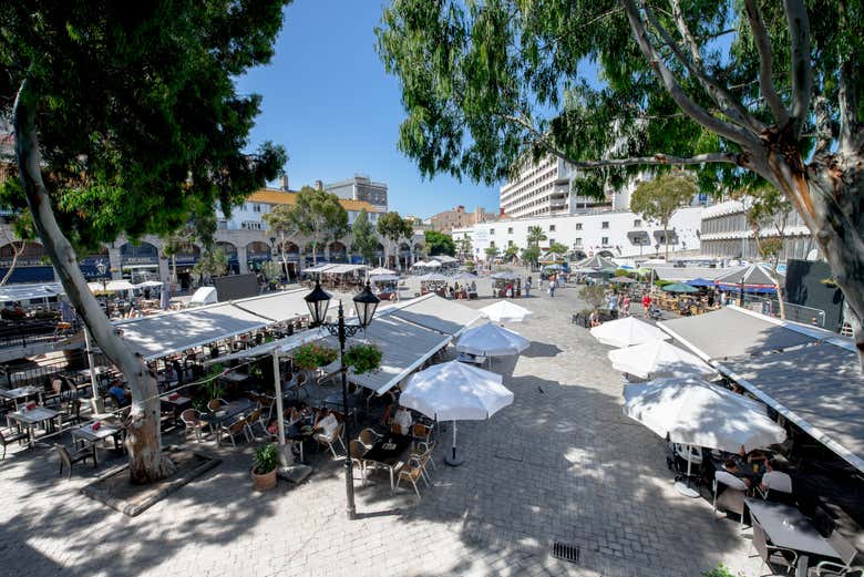 Guided Tour of Gibraltar & Wine Tasting Book at