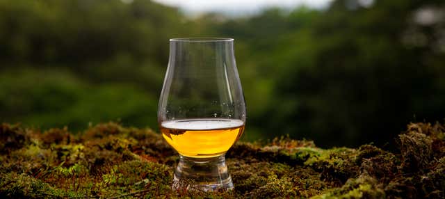Tour del whisky por Glasgow