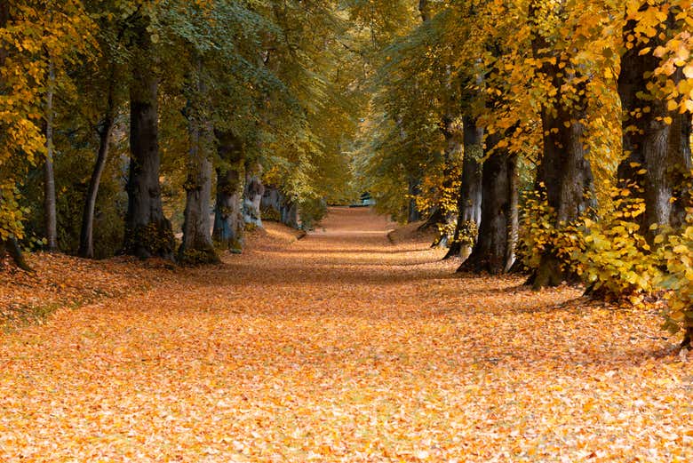 Balade dans les jardins du château de Hillsborough