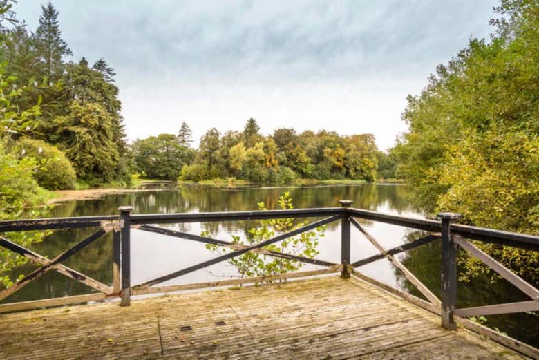 Vue panoramique du lac de Hillsborough