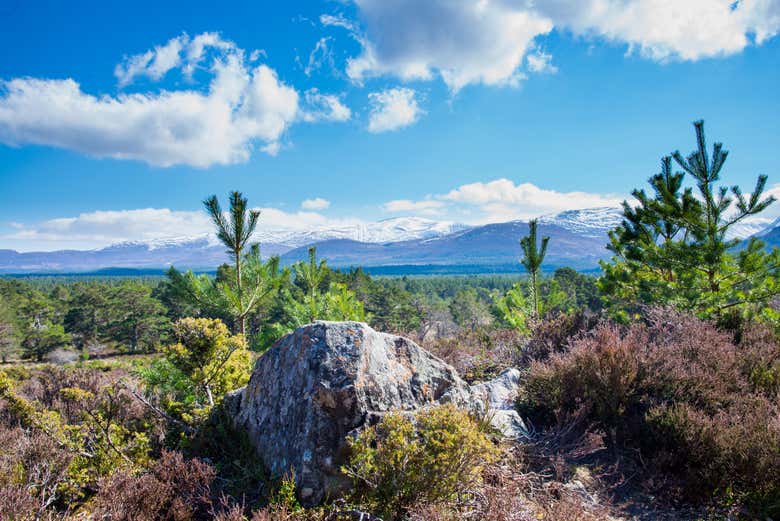 Paesaggi del Parco Nazionale di Cairngorms