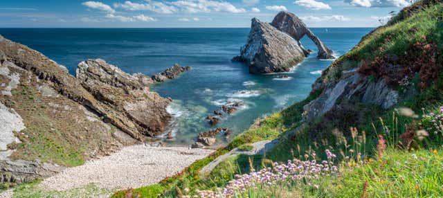 Tour por la costa del Fiordo de Moray + Destilería de whisky