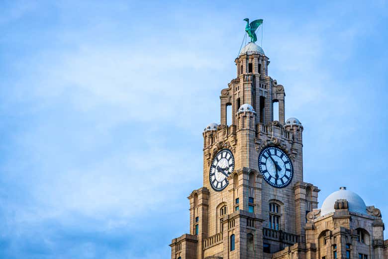 Contemplando il Liver Bird