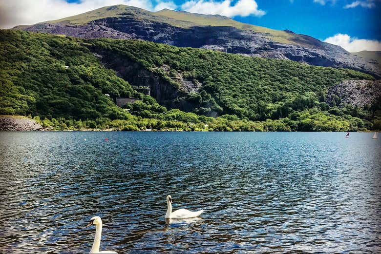 Lagos y montañas de Snowdonia