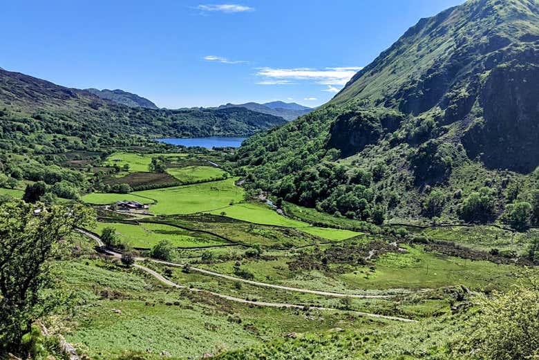gynant valley