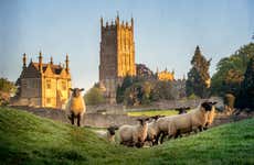 Escursione alle Cotswolds
