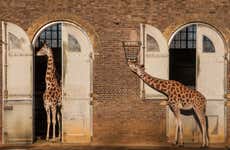 Biglietti per ZSL London Zoo