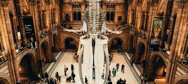 Natural History Museum London Self-Guided Tour