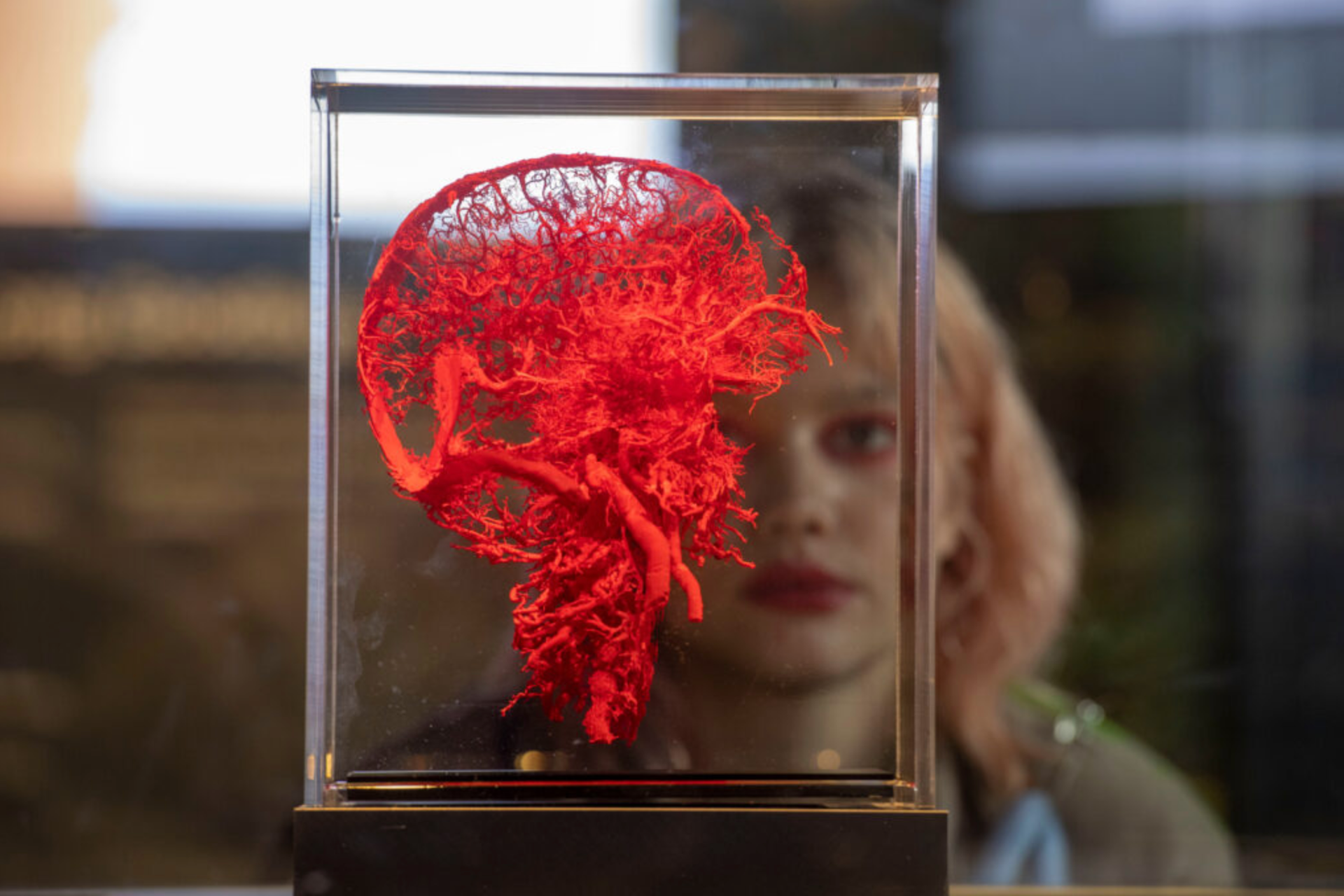 Entradas para Body Worlds