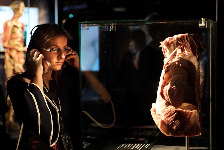Disfrutando de la exposición