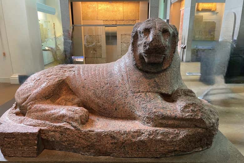 Uno dei pezzi del museo