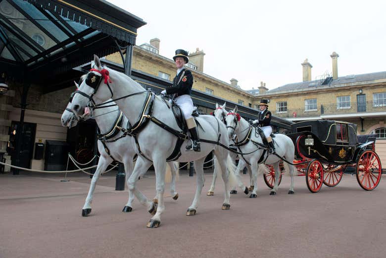 Les chevaux royaux des Royal Mews