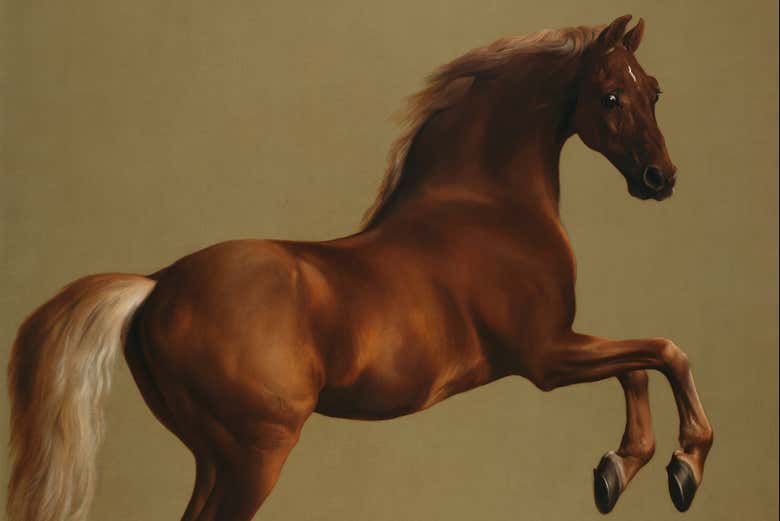 Il Whistlejacket