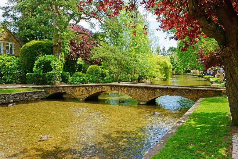 A tranquil river