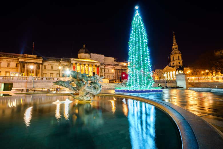 L'imponente albero di Trafalgar Square