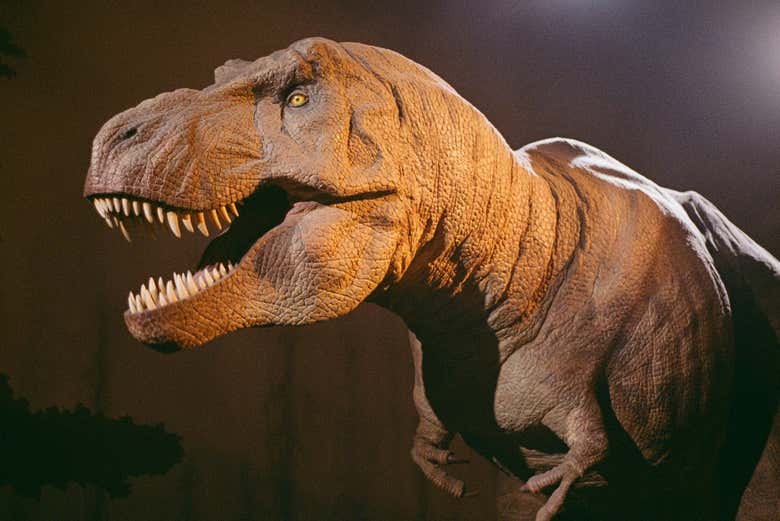 Un dinosaurio T-Rex