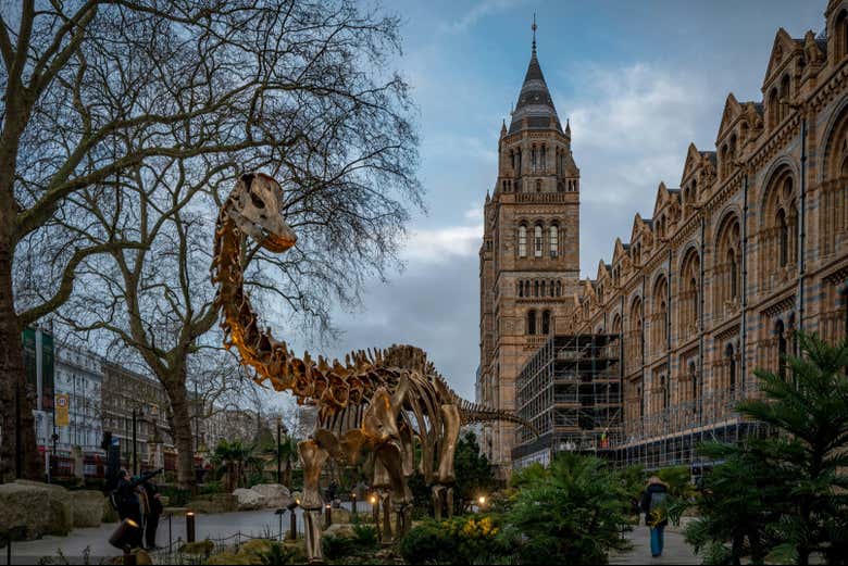 ¿Preparados para conocer a los dinosaurios?