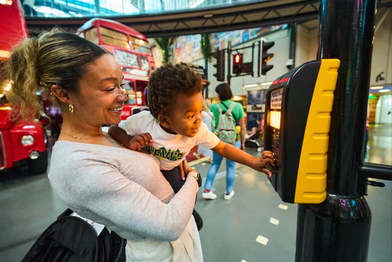 Discover how the transport system works 