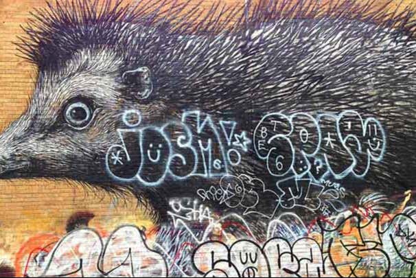 Uno de los grafitis que veremos