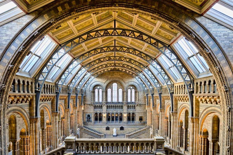 El precioso interior del Museo de Historia Natural de Londres