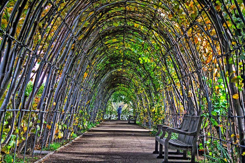 Vistas a los jardines