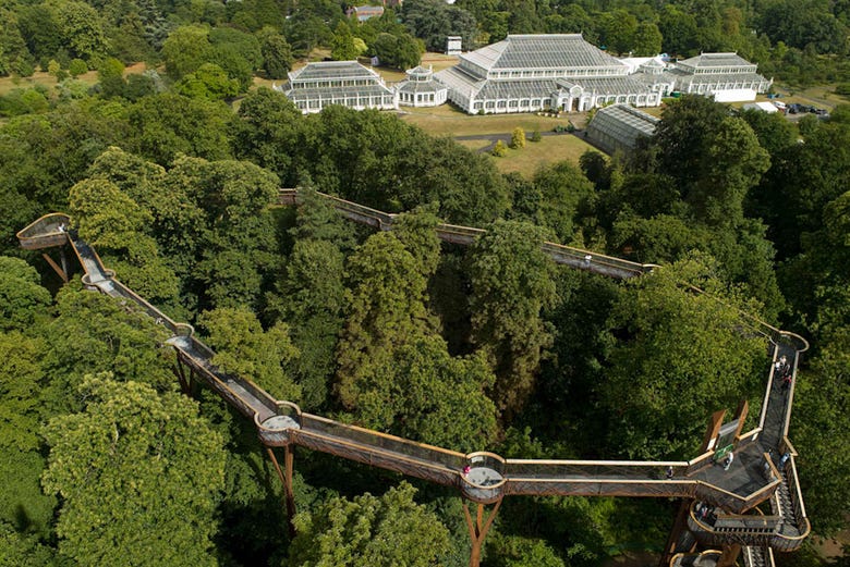 Treetop walkway at Kew Gardens