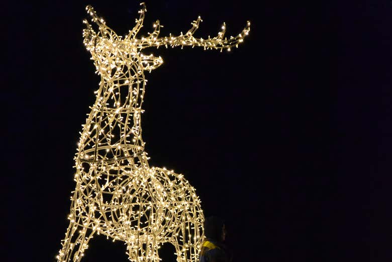 Admire the light displays