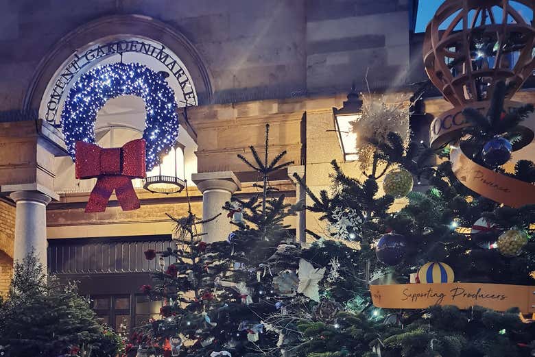 Observez les beaux sapins londonniens