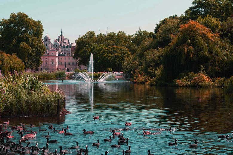 St. James Park