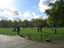 Sunbathing in the park