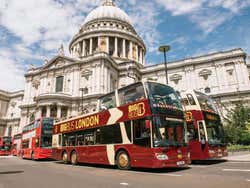 Tourist buses drive in London