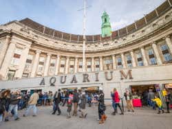 Entrée de l'aquarium