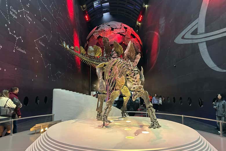 La mejor forma de explorar el Museo de Historia Natural 