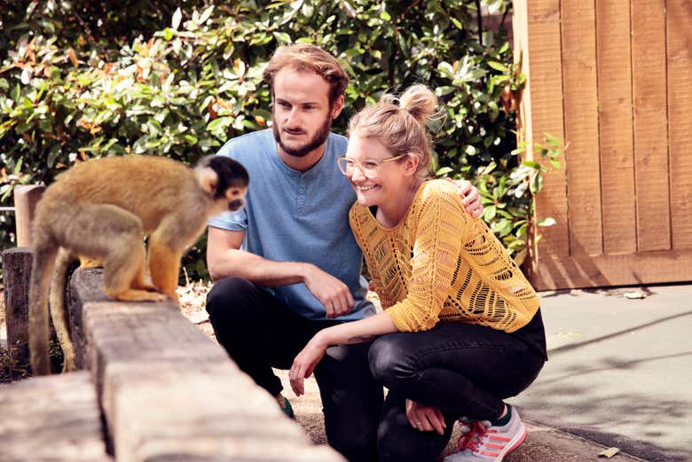 Visitando el zoo de Londres