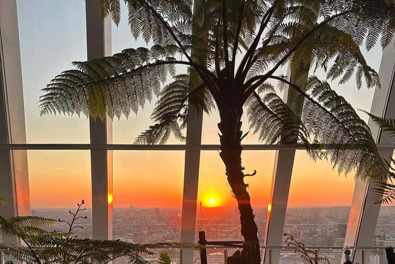 Amanecer sobre Londres