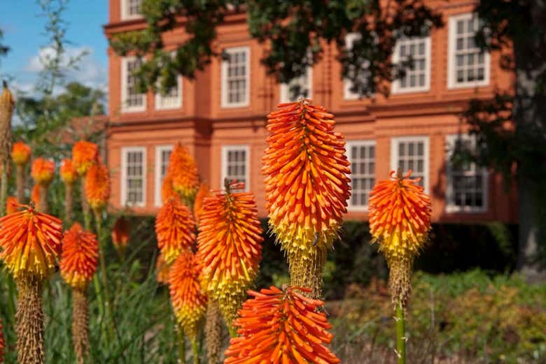 Vistas del Palacio de Kew desde el Jardín
