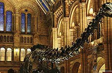 The Natural History Museum