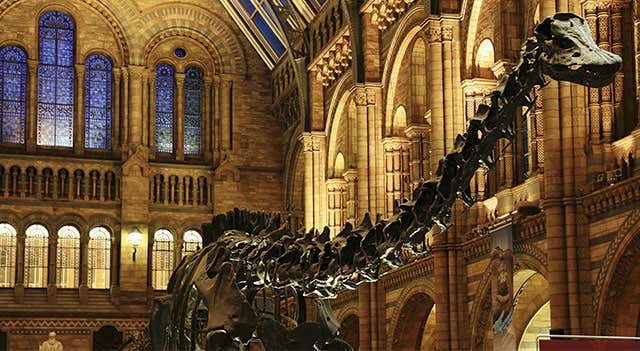 The Natural History Museum Opening Times Tickets And Location