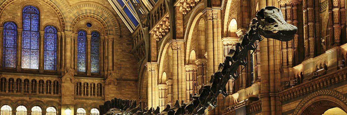 Museo de Historia Natural de Londres