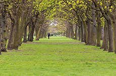Regent's Park