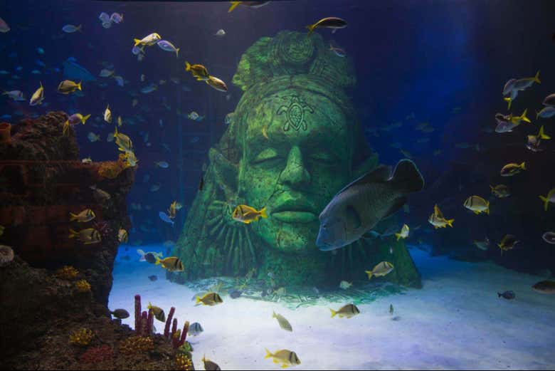 Réservez votre billet pour SEA LIFE Manchester