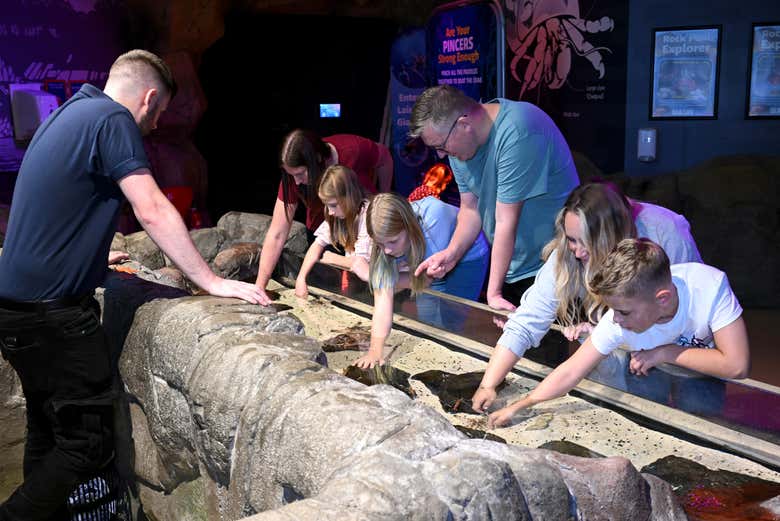 Des fossiles marins à SEA LIFE Manchester