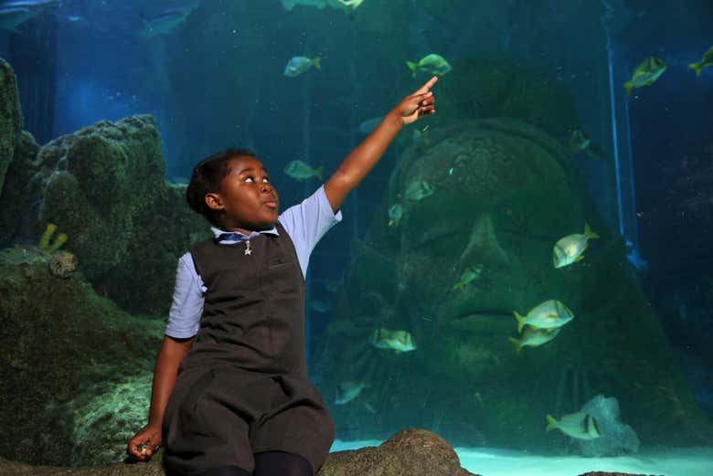 Una niña viendo peces en el SEA LIFE Manchester