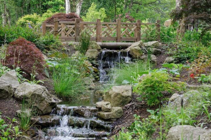 Le ruisseau du jardin chinois
