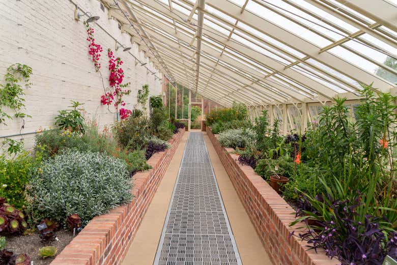 Intérieur de l'ancienne cour de jardin en bois
